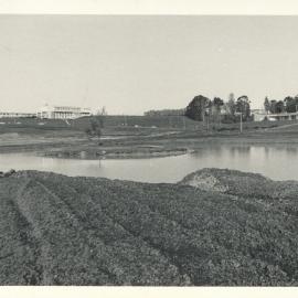 Early stages of Knighton Lake
