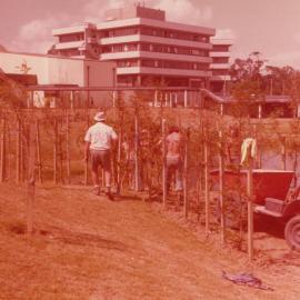 Landscaping around the edge of Oranga Lake