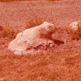Landscaping featuring rocks