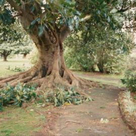 Unknown park location