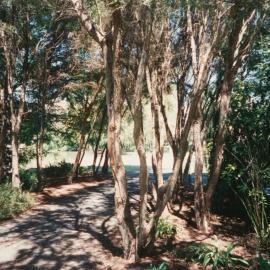 Unknown pathway