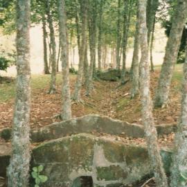 Stone bridges on Hamilton campus