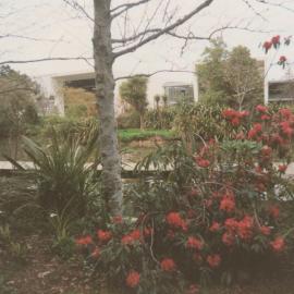 Rhododendron bush on Hamilton Campus 