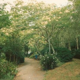 Pathway and landscaping near Chapel Lake