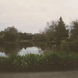 Knighton Lake with view of Library