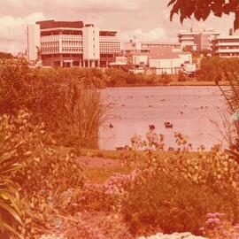 Oranga Lake, Library, L Block