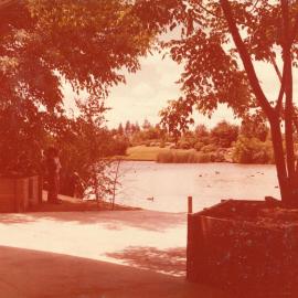 View of Oranga Lake from Oranga