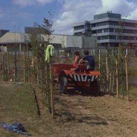 Construction of path and landscaping around Oranga Lake 01