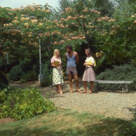 Students on pathway at Hamilton campus