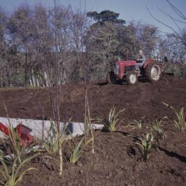 Landscaping work with tractor