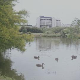 View of the Library over Oranga Lake