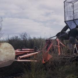 Shifting large plants 04
