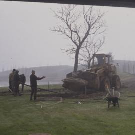 Relocating mature trees on Hamilton campus 02
