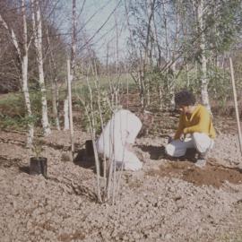 Grounds staff planting trees on Hamilton campus 01