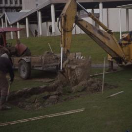 Landscaping of the village green 01