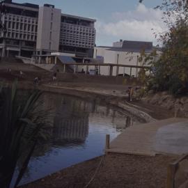 Landscaping of the village green and edge of Oranga Lake 05