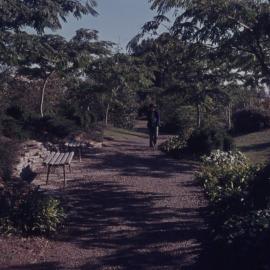Student walking along pathway on Hamilton campus 01