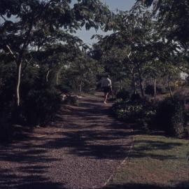 Student walking along pathway on Hamilton campus 02
