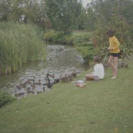 Children feeding ducks by Knighton Lake 01