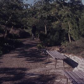 Student walking along pathway on Hamilton campus 03