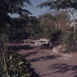 Landscaping around pathway on Hamilton campus