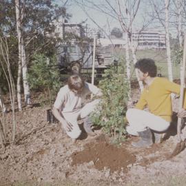 Grounds staff planting trees on Hamilton campus 03