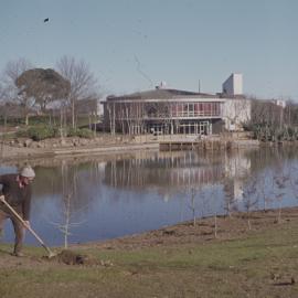 Landscaping on hill below Library  02
