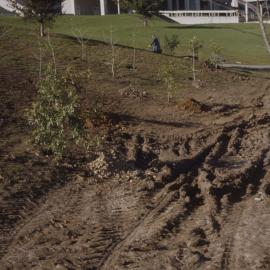 Construction of path and landscaping around Oranga Lake 05