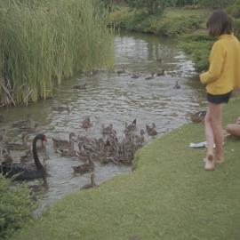 Children feeding ducks by Knighton Lake 02