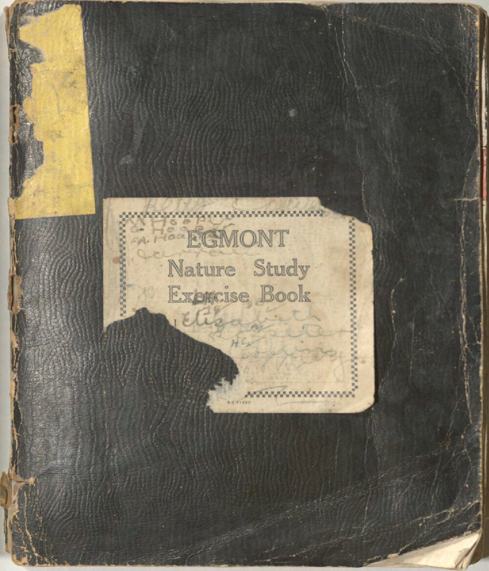 Scrapbook album 1936-1946