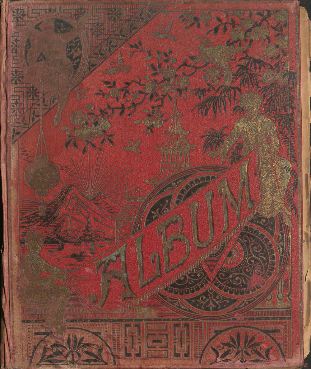 Album of pressed ferns and flowers