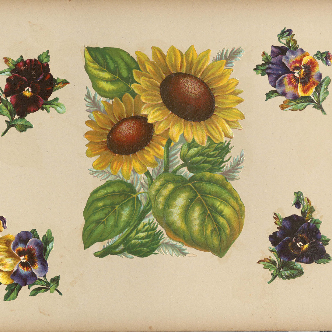 Scrapbook of stickers from the Victorian period