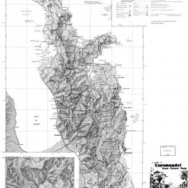 Coromandel State Forest Park