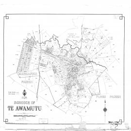 Borough of Te Awamutu: cadastral map