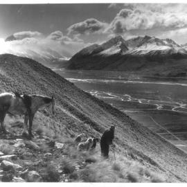 Farmer with dogs looking over at the Gammack Ranges 