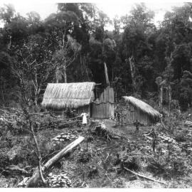 Forest clearing with huts
