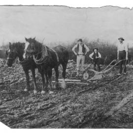 Ploughing with single furrow wooden plough and two-horse team