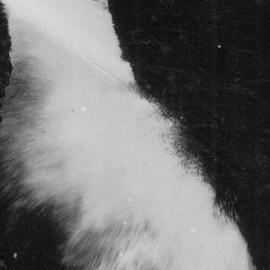 Blowhole - West Coast Auckland