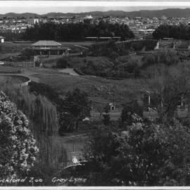 Auckland Zoo, Grey Lynn