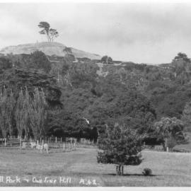Cornwall Park and One Tree Hill, Auckland
