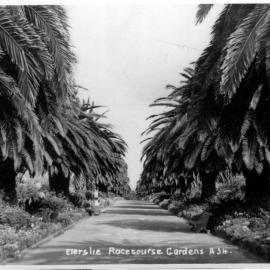 Ellerslie Racecourse gardens
