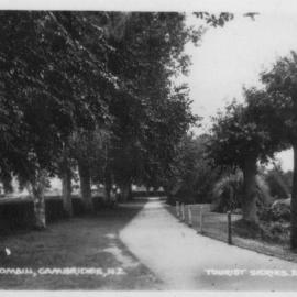 The Domain Cambridge