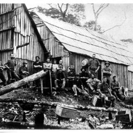 Bush camp Coromandel