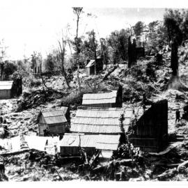 Bush camp Coromandel