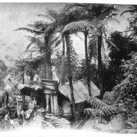 Surveyor's Camp? Coromandel