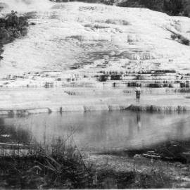 White Terraces Rotomahana