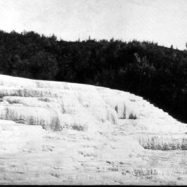 White Terraces Rotomahana