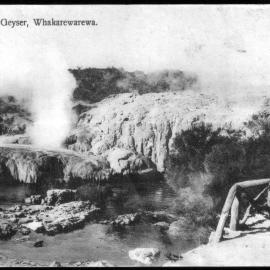 Kereru Geyser Whakarewarewa