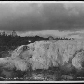 The Terraces Whakarewarewa New Zealand