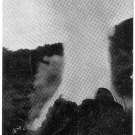 Crow's Nest Geyser Taupo 